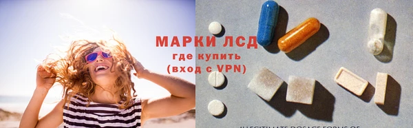 крисы Аркадак
