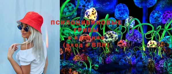 крисы Аркадак