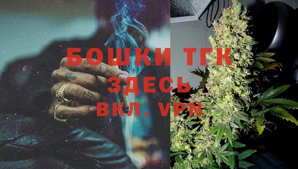 крисы Аркадак