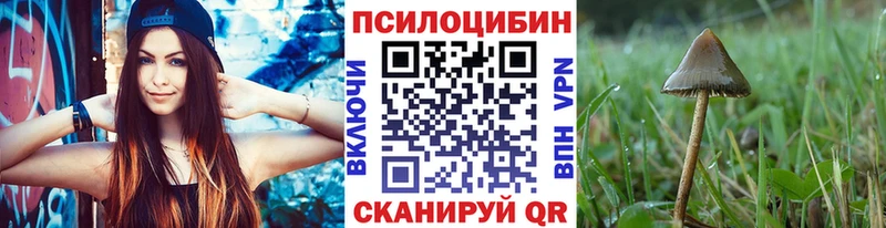 Псилоцибиновые грибы GOLDEN TEACHER  что такое наркотик  Демидов 